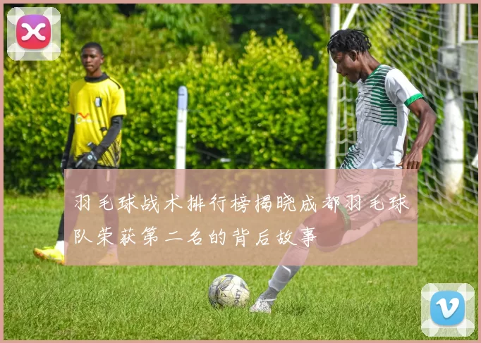 羽毛球战术排行榜揭晓成都羽毛球队荣获第二名的背后故事