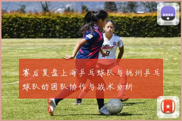 赛后复盘上海乒乓球队与杭州乒乓球队的团队协作与战术分析