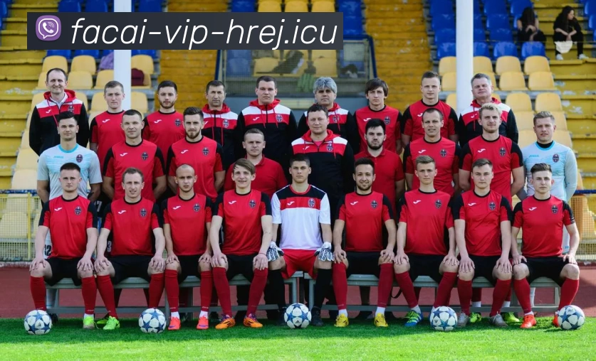 [--classpath--]/a[--id--]-[--page--].html平台生态图