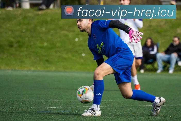 辅助工具 辅助工具